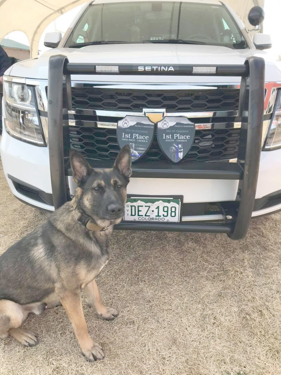 K-9 Challenge 3
